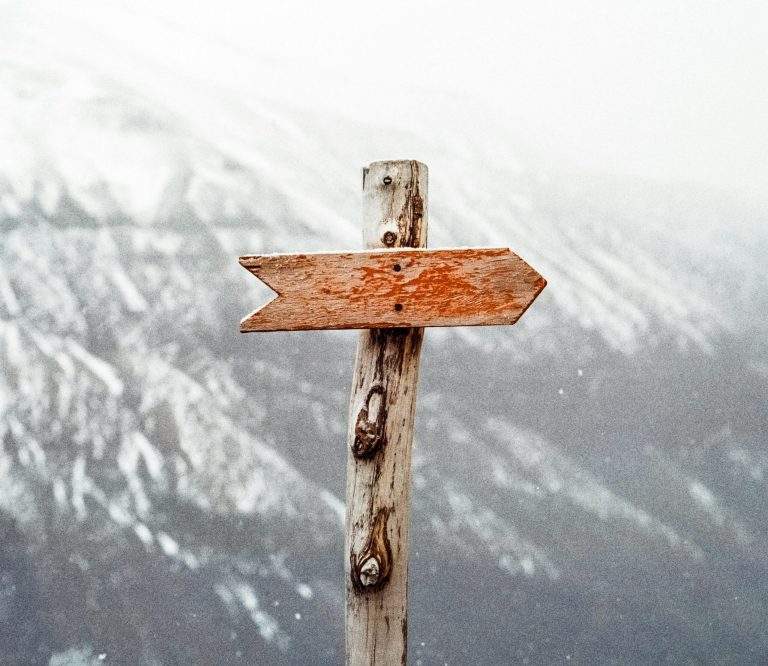 A road with directional signs, representing the significance of adapting to change in life.