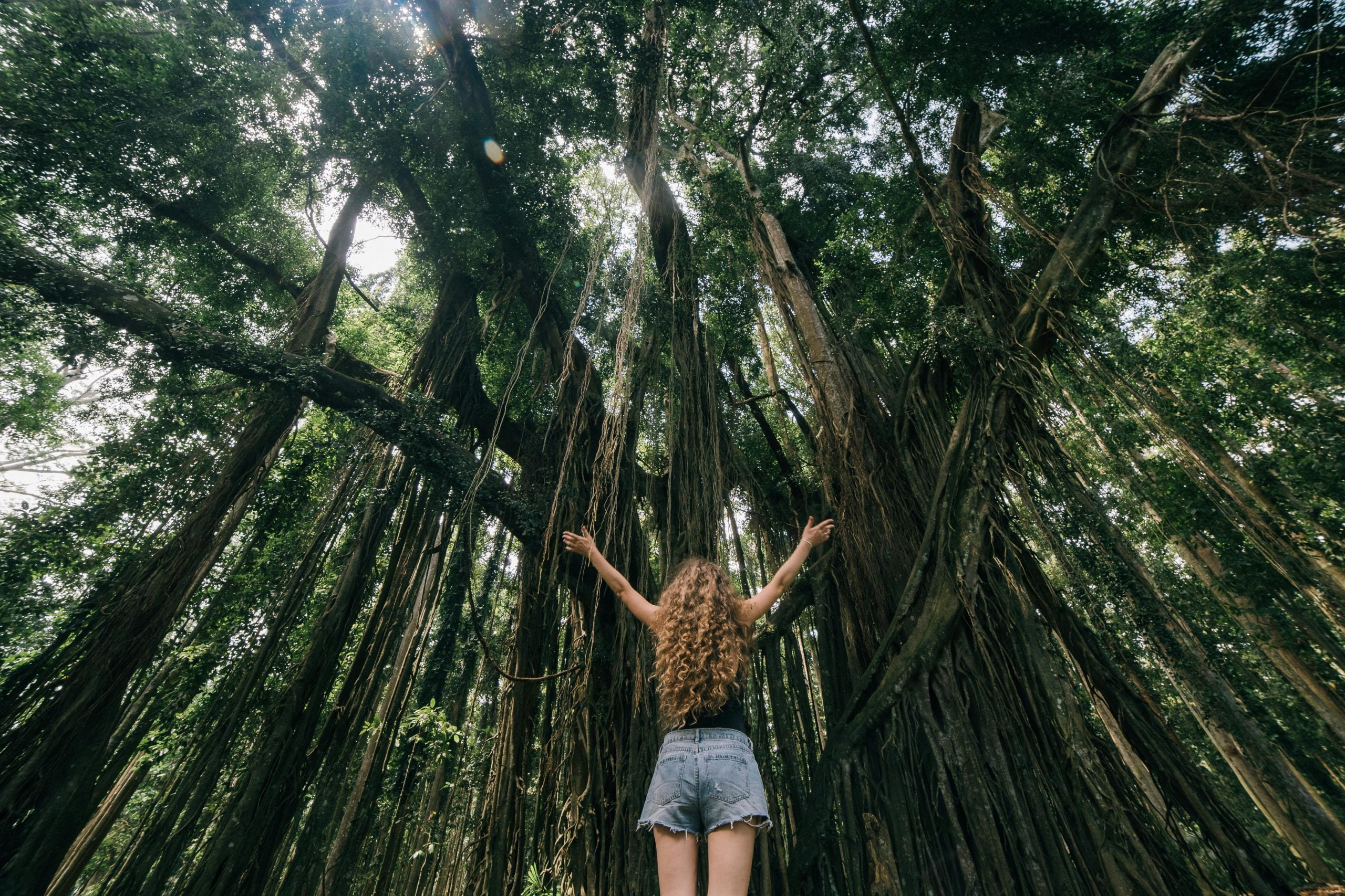 Person standing tall after overcoming failure, symbolizing growth through setbacks.