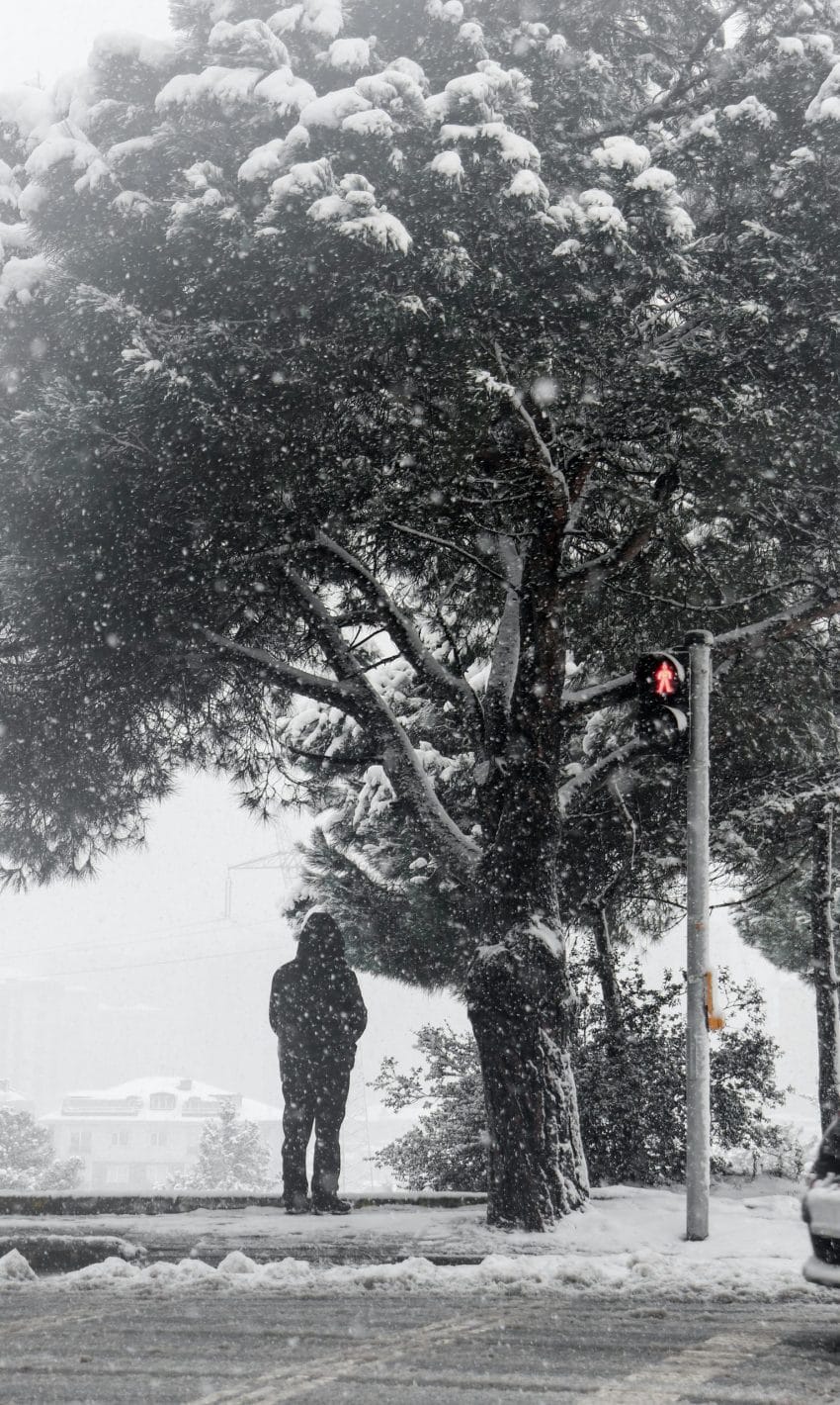 A person facing a storm, representing resilience and thriving in uncertain times.