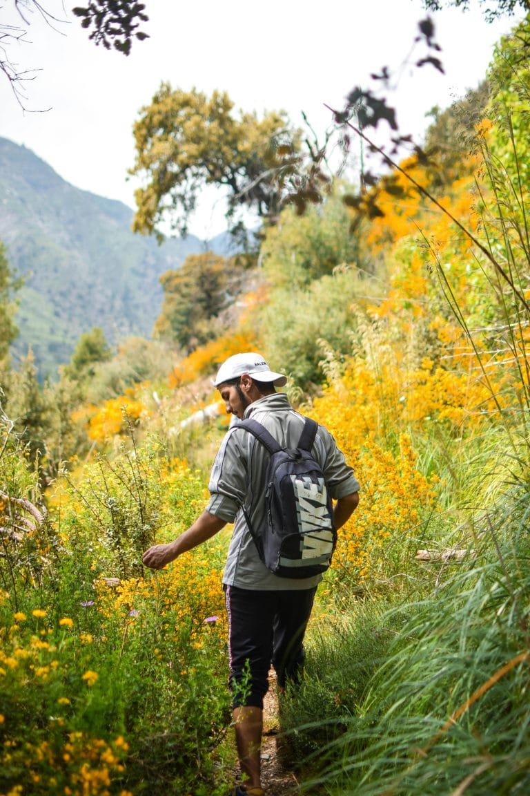 Person reflecting on personal development, embracing challenges, and building growth strategies.