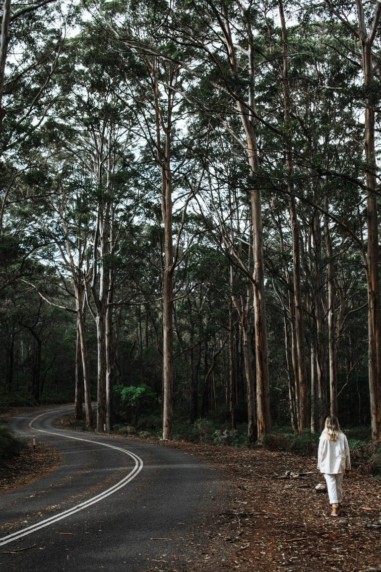 Person walking away from a crossroads, symbolizing personal growth by letting go of relationships.