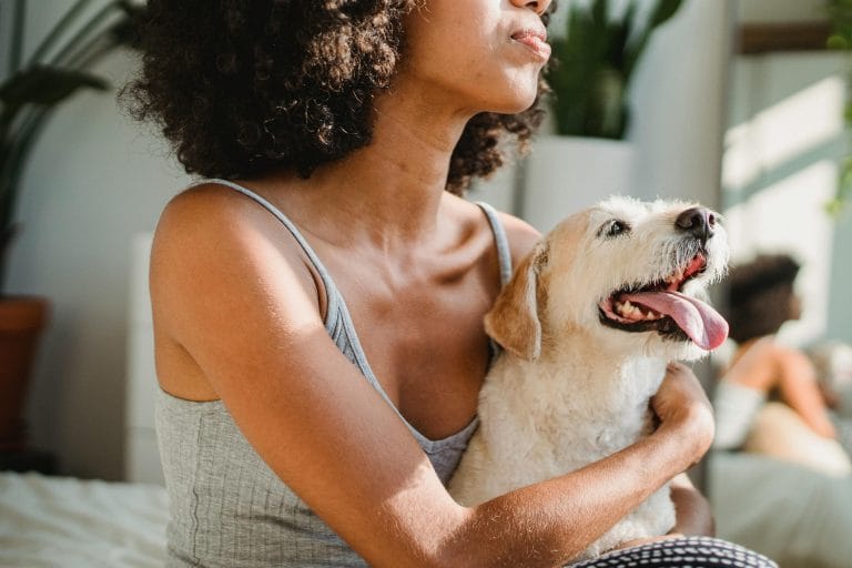 A happy dog sitting with its owner, symbolizing loyalty and love.